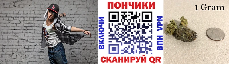 Бошки марихуана планчик  купить наркоту  Закаменск 